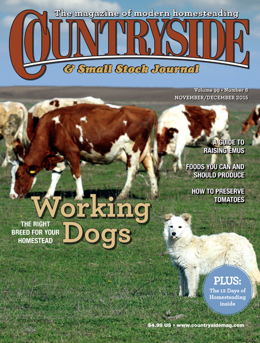 Countryside November/December 2015
